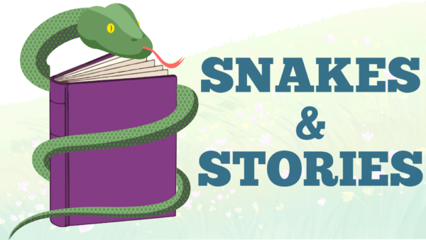 Snakes & Stories Sunday June 14th 1pm